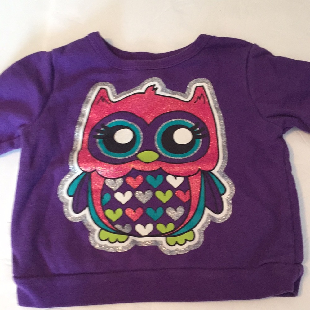 Garanimals girls purple owl sweatshirt Sz 3T